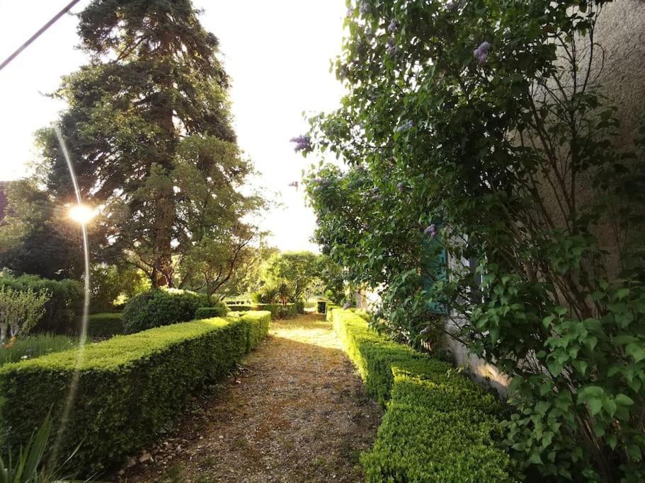 Charmant Studio Avec Jardin A La Campagne Sur Le Chemin De Saint Jacques De Compostelle Apartment โลว์แซร์ต ภายนอก รูปภาพ