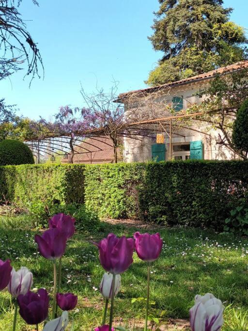 Charmant Studio Avec Jardin A La Campagne Sur Le Chemin De Saint Jacques De Compostelle Apartment โลว์แซร์ต ภายนอก รูปภาพ